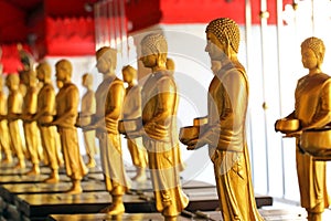 Row of standing buddha statues