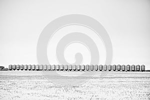 Row of steel grain bins