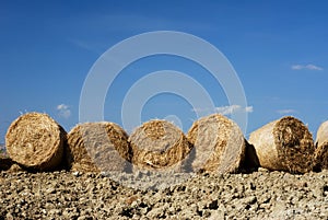 Row of straw bales