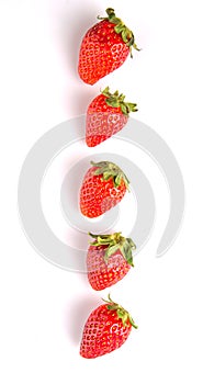 Row Of Strawberries Fruits III