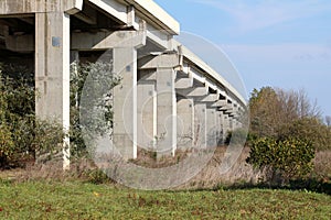 Row of strong large concrete road bridge support columns surrounded with uncut grass and trees