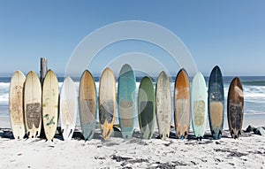 Row of Surfboards on Sandy Beach