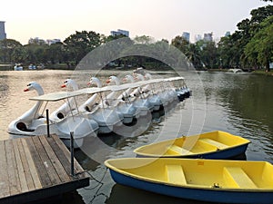 Row of Swan Boats Style and Two Rowboats in The Lake at Dusk