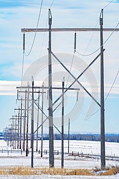 Row of tall wooden transmission towers with electrical lines providing power to customers along a Western province portrait view