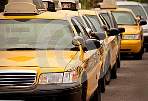 Row of taxi cabs photo