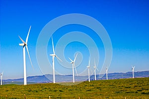 Row Of Three Bladed Energy Producing Windmills