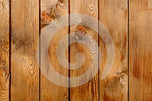 Row of tinted brown wooden boards with knots