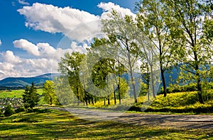 Row of trees along the road in to the mountains