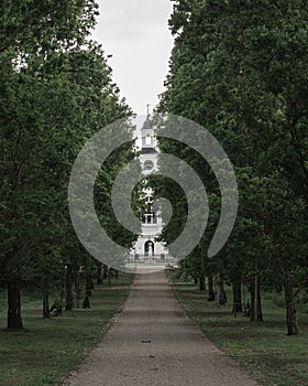 Row of trees in park called St Lars in Lund Sweden in summertime