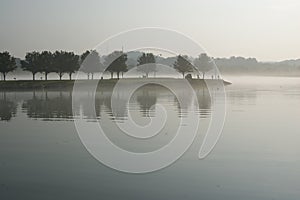 Row of trees reflecting in the lake on foggy morning