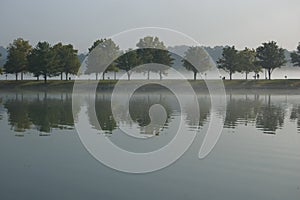 Row of trees reflecting in the lake on foggy morning