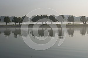 Row of trees reflecting in the lake on foggy morning