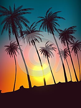 Row of tropic palm trees against sunset sky. Silhouette of tall palm trees. Tropic evening landscape. Gradient color. Vector illus