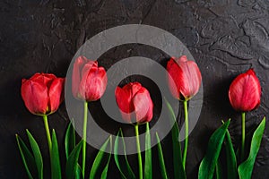 Row of tulip flowers on textured black background