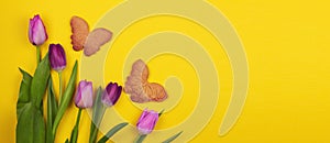 Row of tulips and butterflies on a yellow background. Copy space. Mother`s day. View from above. Spring holidays concept
