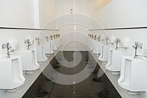 Row of urinals in a public restroom