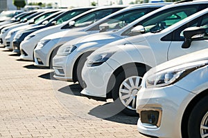 row of used cars. Rental or automobile sale services