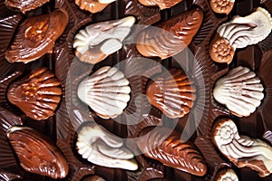 Row of variety chocolate pralines. Top view