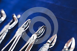 row of various dental extraction forceps tools on display on blue background with shallow depth of field