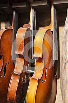 Row of violins