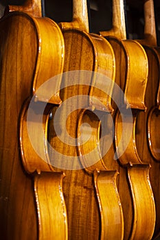 Row of violins