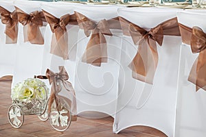 Row of wedding chairs with ribbons.