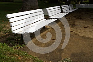 Row of White Benches