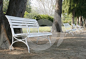 Row of white benches
