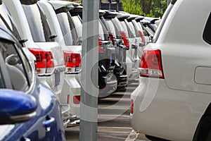 A row of white and black new cars, crossovers, jeeps, on the market during the day. Car market, automotive industry