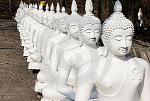 Row of White Buddha in Thailand