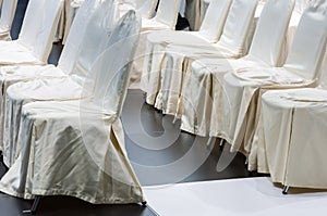 Row of white chair photo