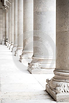 Row of white marble columns. Vertical image