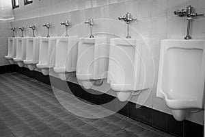 Row white urinals in men's bathroom