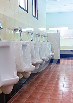 Row white urinals in men's bathroom