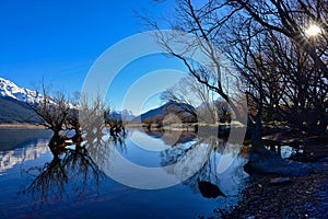 Row of willow trees on Lake Wakatipu in Glenorchy in New Zealand