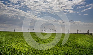 Row of win turbines in field of corn