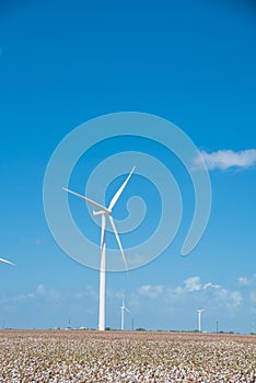 Wind turbines farm on cotton field at Corpus Christi, Texas, USA