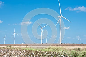 Wind turbines farm on cotton field at Corpus Christi, Texas, USA