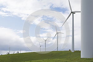 Row of Wind Turbines on a Wind Farm, Fleurieu Peninsula, SA