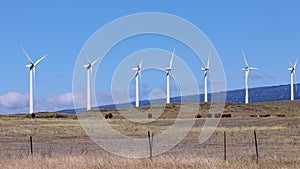 Row of wind turbines at a wind farm at South Point, Hawaii, Big Island.