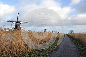 A row of Windmills