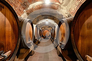 A Row Of Wooden Barrels Are Lined Up In A Wine Cellar