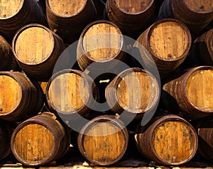 Row of wooden barrels of tawny portwine