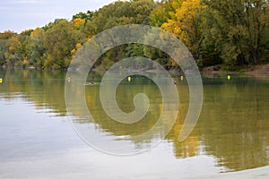 Row of yellow buoys floating in a placid lake