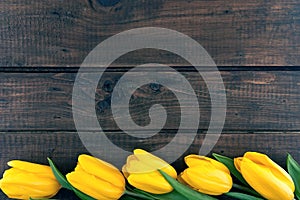 Row of yellow tulips on dark rustic wooden background.