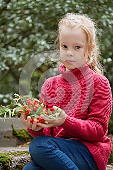 Rowan berries in the hands of little red-haired girl