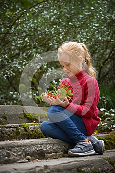 Rowan berries in the hands of little red-haired girl