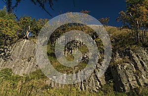 Rowan berry trees and rock