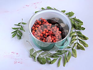Rowan and chestnuts in a green pot surrounded by rowan leaves