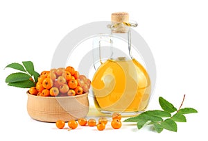 Rowan with green leaf and rowan oil in glass jug isolated on white background